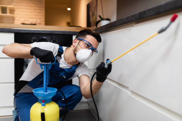 Wasp Removal Services in Stowell, TX