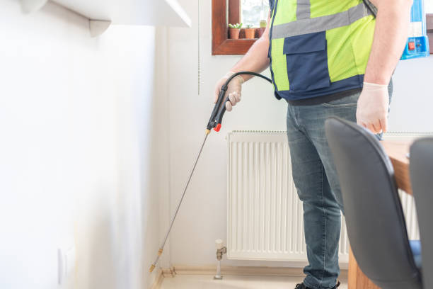 Best Mosquito Control Services  in Stowell, TX