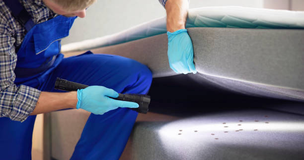 Best Pest Removal Services  in Stowell, TX