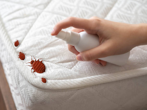 Best Pest Inspection Near Me  in Stowell, TX