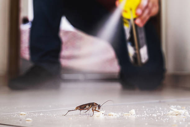 Best Cockroach Control Services  in Stowell, TX