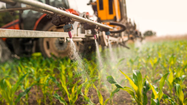 Best Pest Removal Services  in Stowell, TX