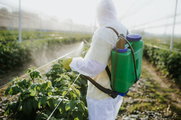 Best Pest Control Near Me  in Stowell, TX